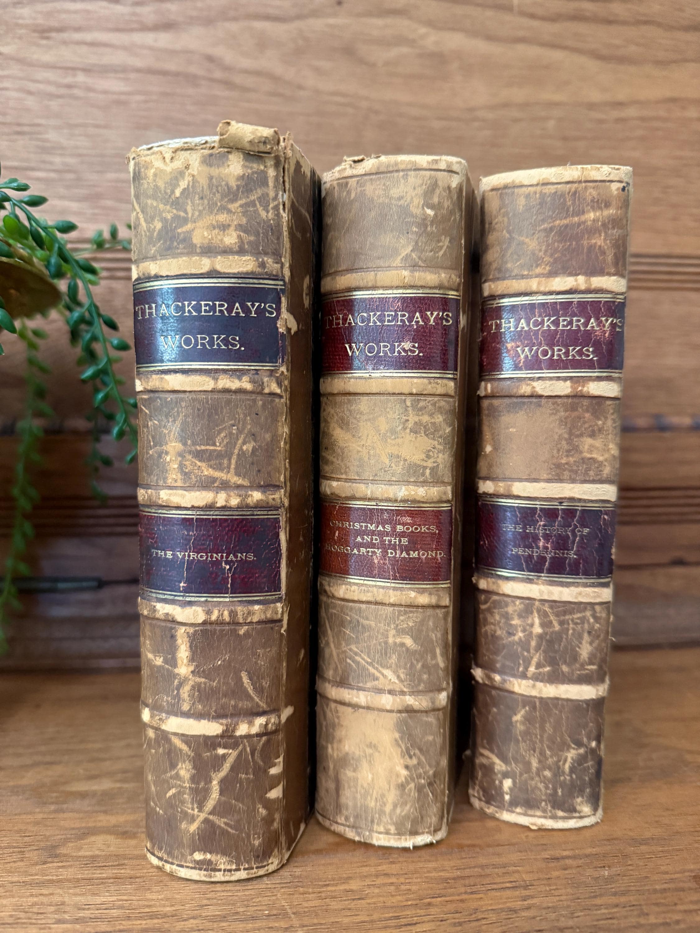 Antique & First Editions