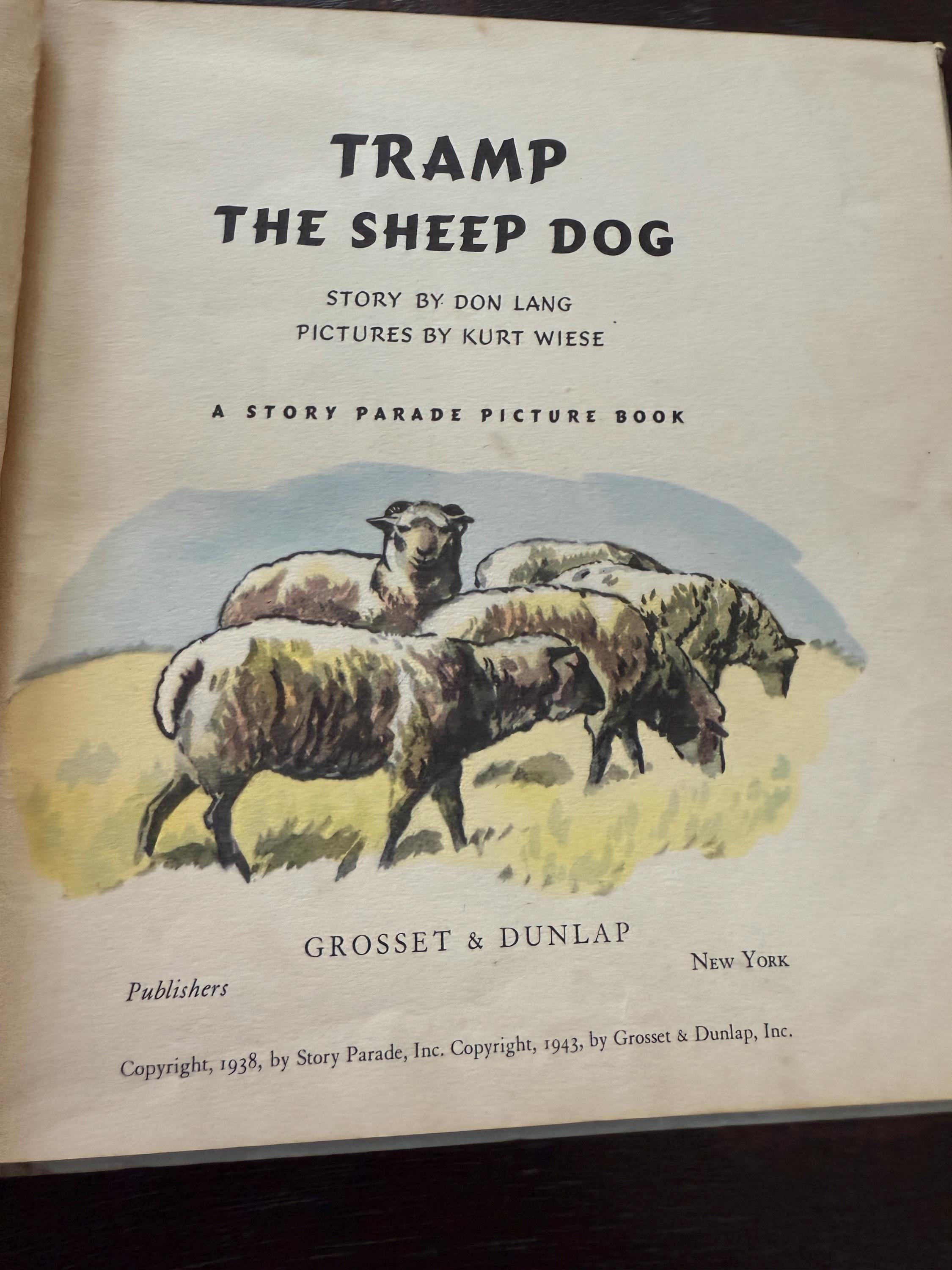 1943 Tramp the Sheep Dog by Don Lang – Illustrated by Kurt Wiese – A Story Parade Picture Book – Vintage Hardcover