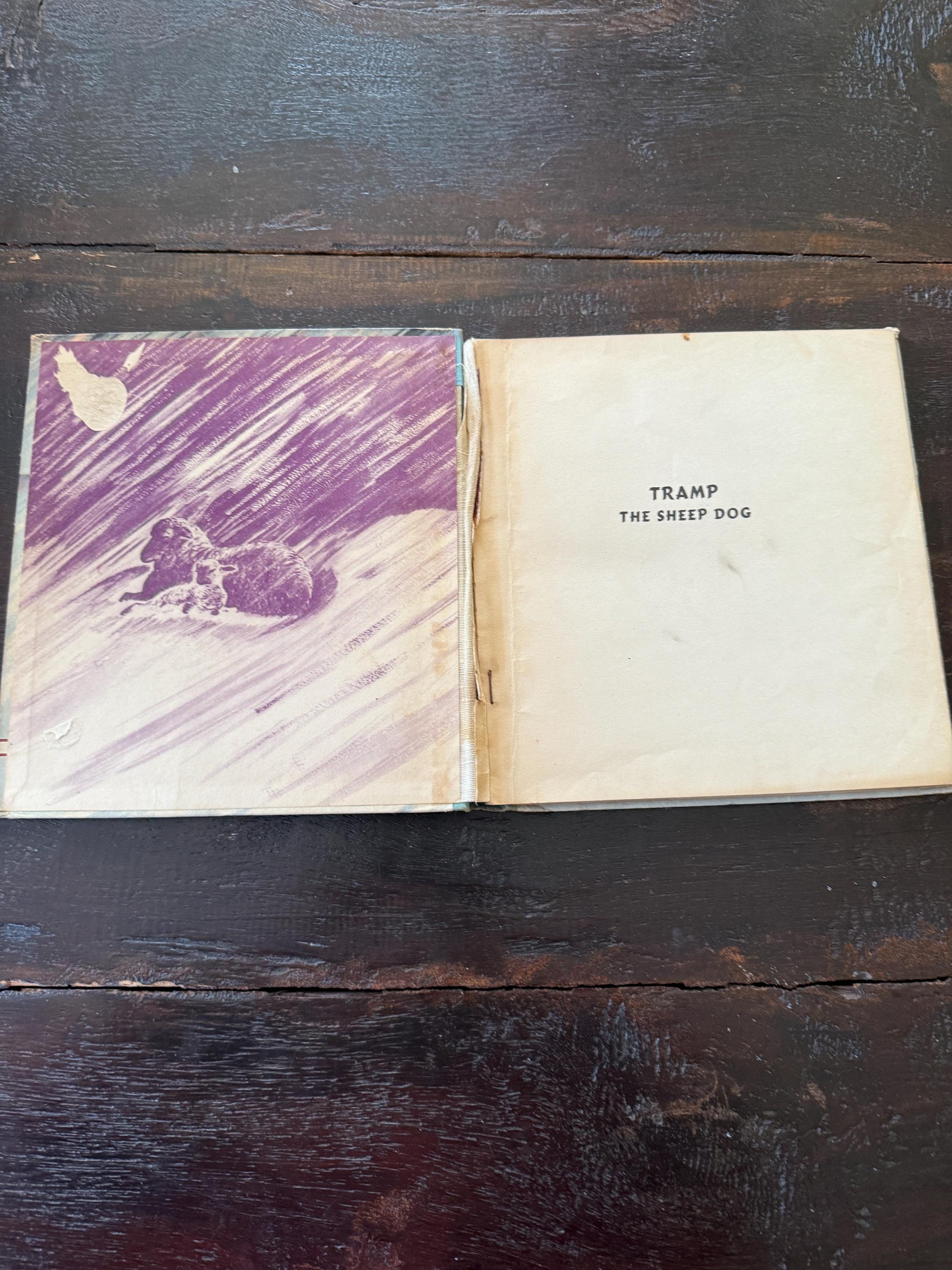 1943 Tramp the Sheep Dog by Don Lang – Illustrated by Kurt Wiese – A Story Parade Picture Book – Vintage Hardcover