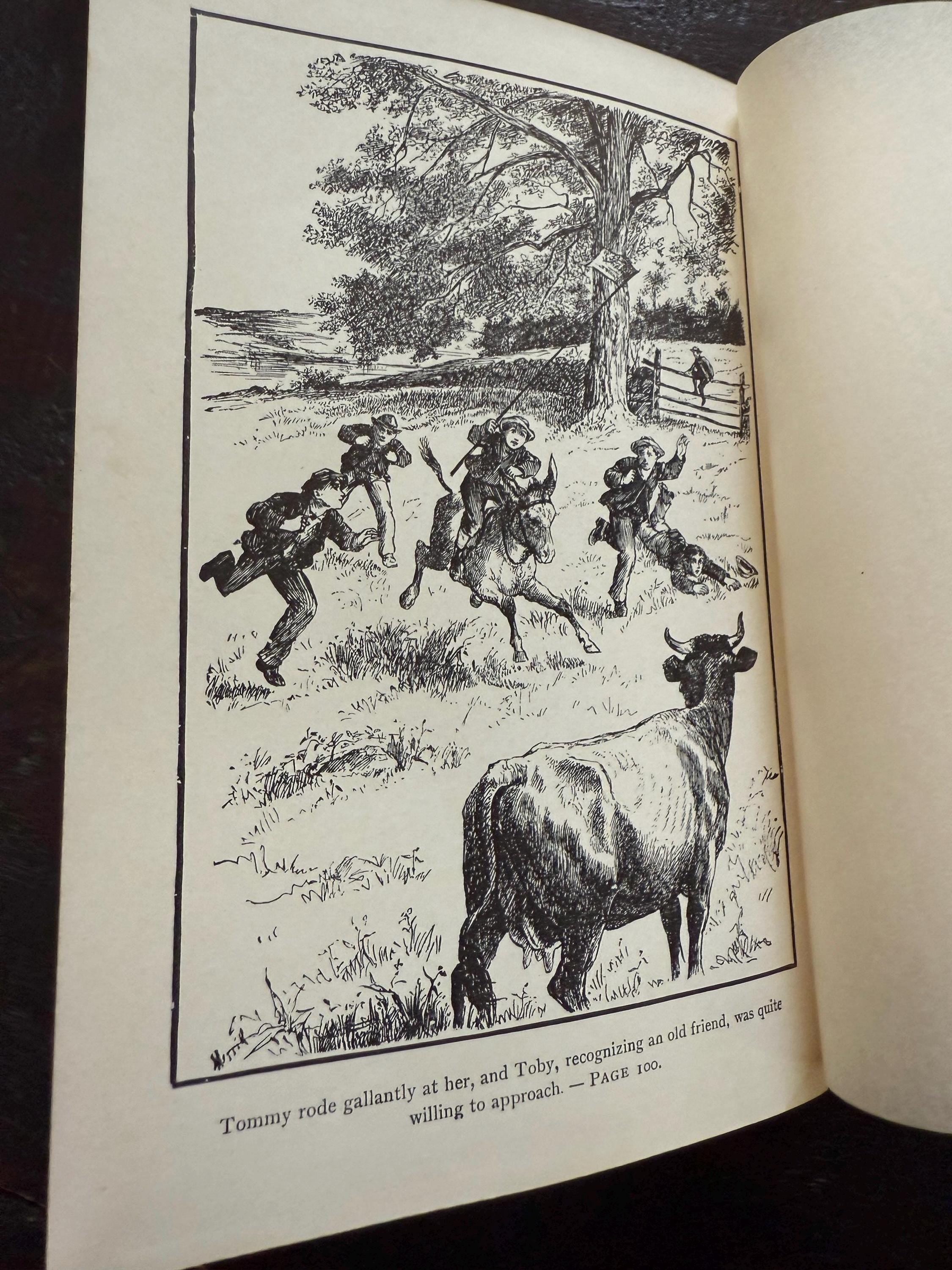 Antique 1915 - Louisa M. Alcott - Little Men illustrated hardcover book