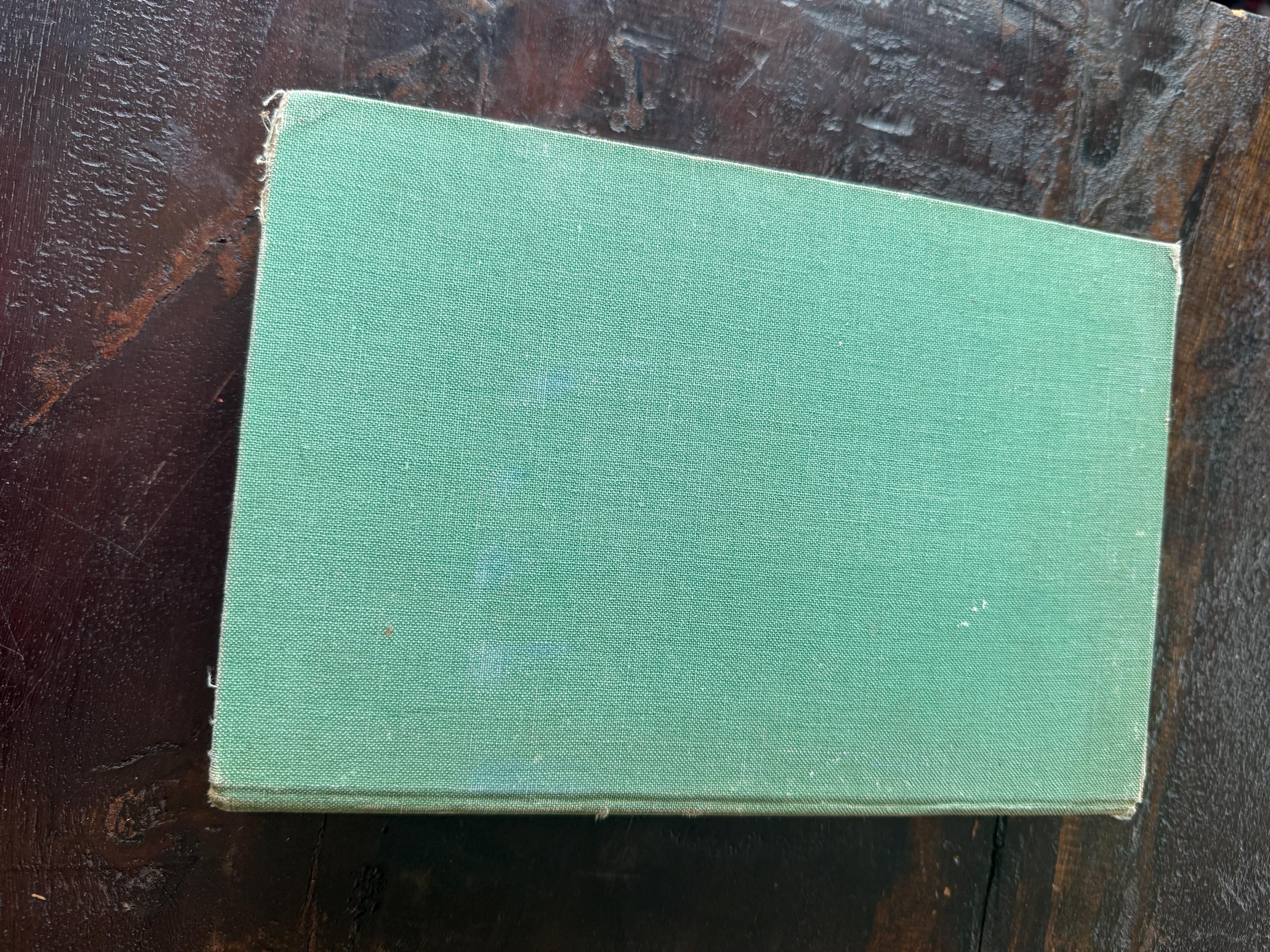 1939 Heidi’s Children by Charles Tritten – Vintage Sequel to Heidi – Embossed Green Cover
