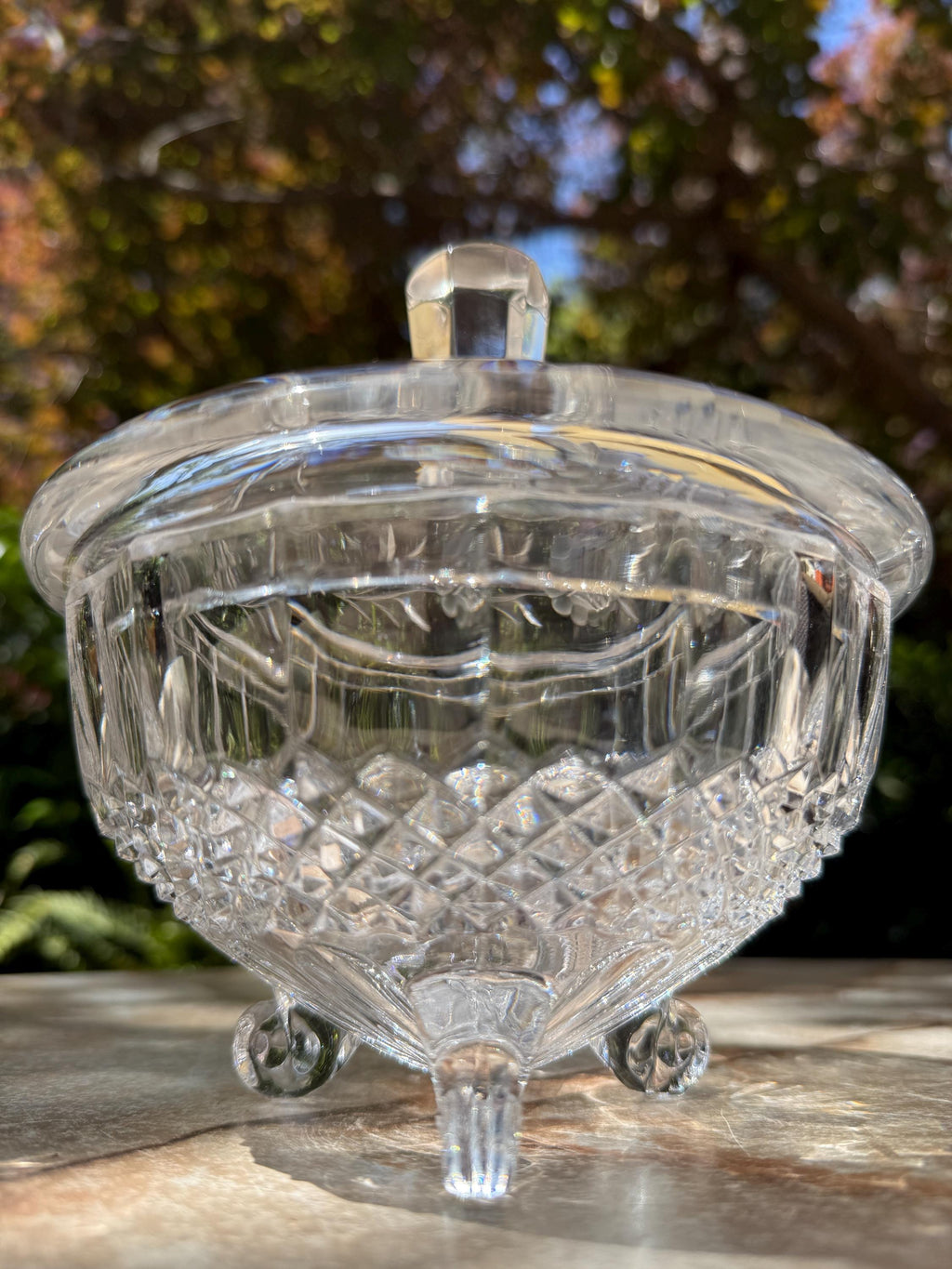 Vintage Bohemian Cut Crystal Candy Dish with Rose Pressed Lid – Mismatched Charm