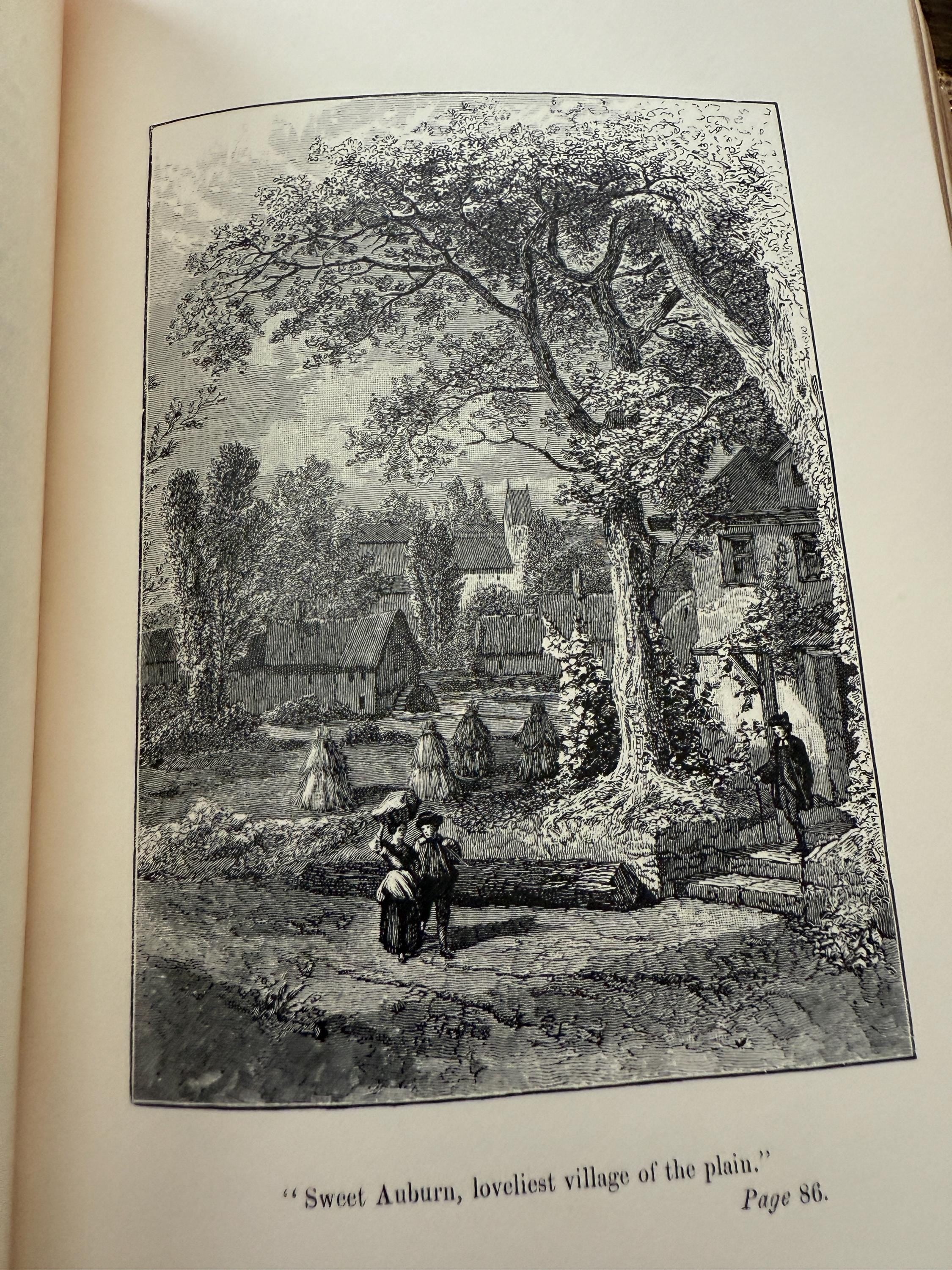 1884 Poems, Plays, and Essays by Oliver Goldsmith – Leather Bound, Gilt Pages, Published by Thomas Y. Crowell & Co.
