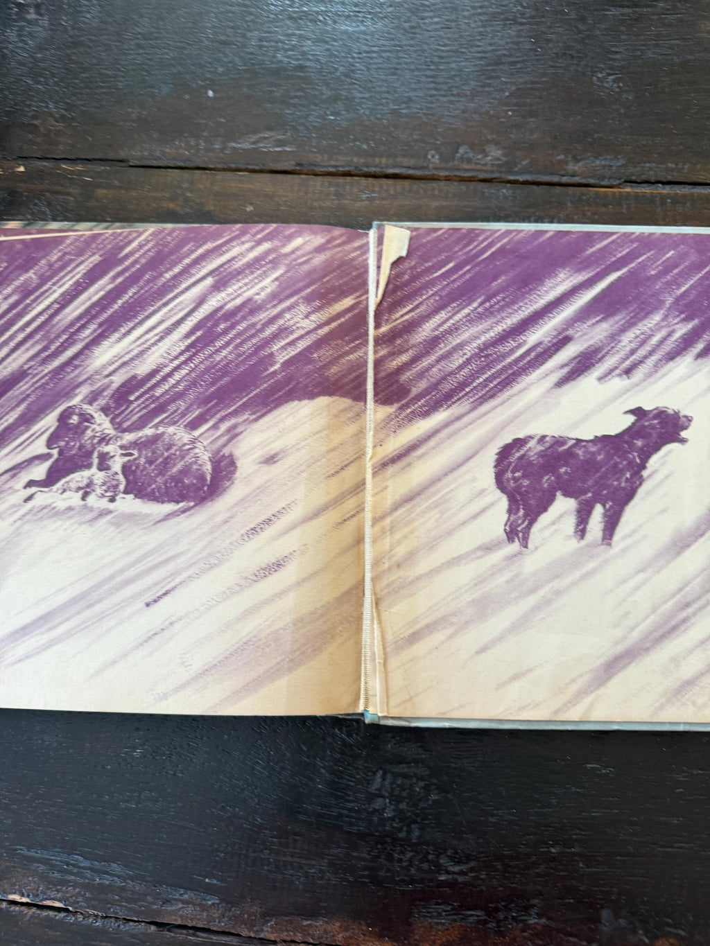 1943 Tramp the Sheep Dog by Don Lang – Illustrated by Kurt Wiese – A Story Parade Picture Book – Vintage Hardcover
