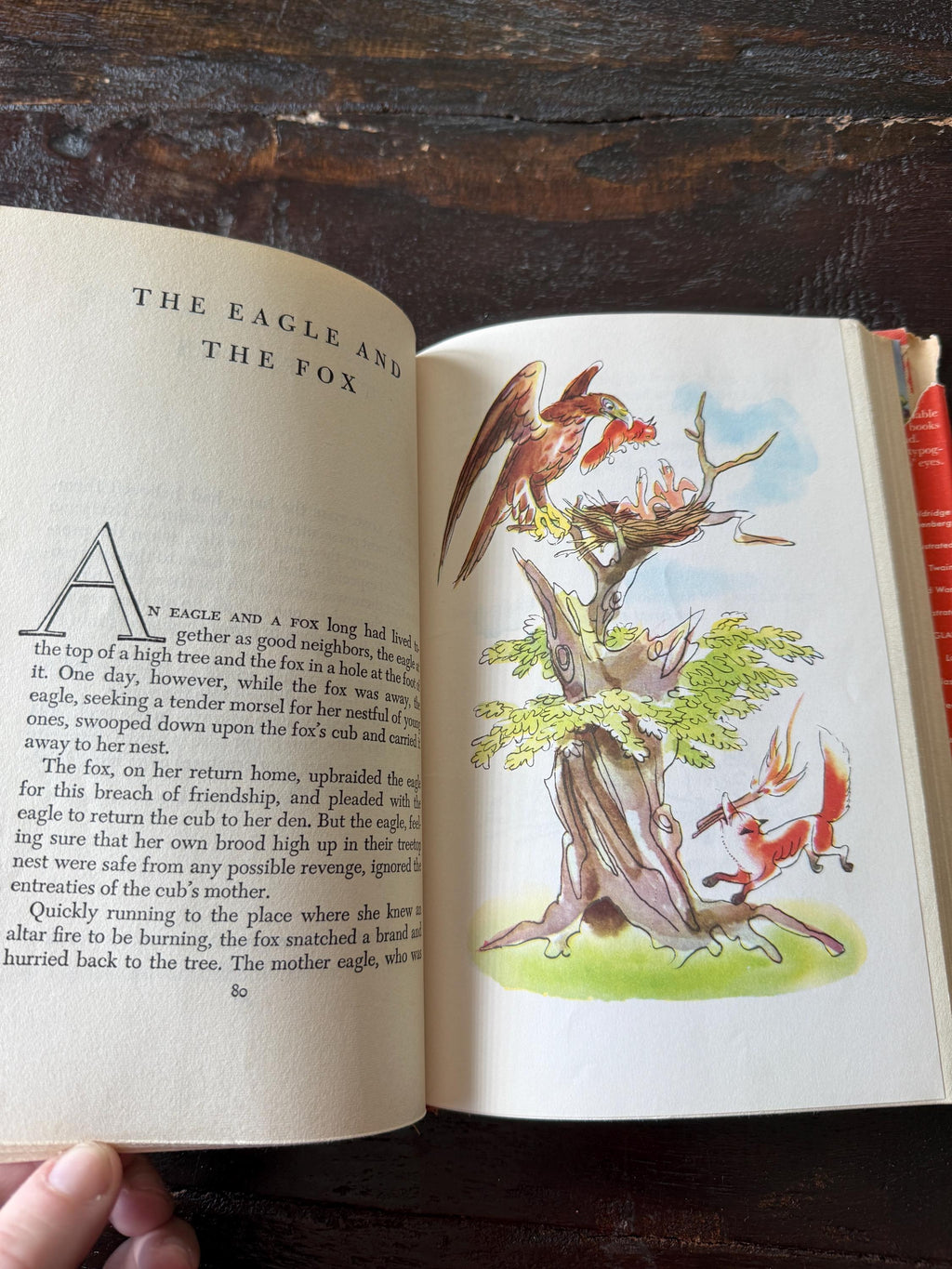 Vintage 1949 Aesop’s Fables Illustrated Junior Library Book – Illustrated by Fritz Kredel