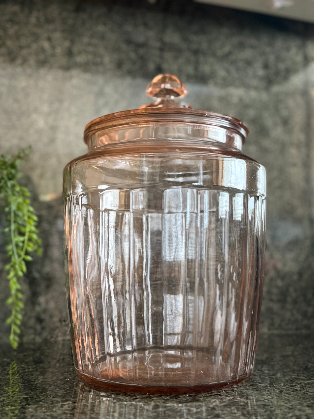 Vintage Depression Era Pink Ribbed Glass Biscuit Jar with Lid – 11” Tall