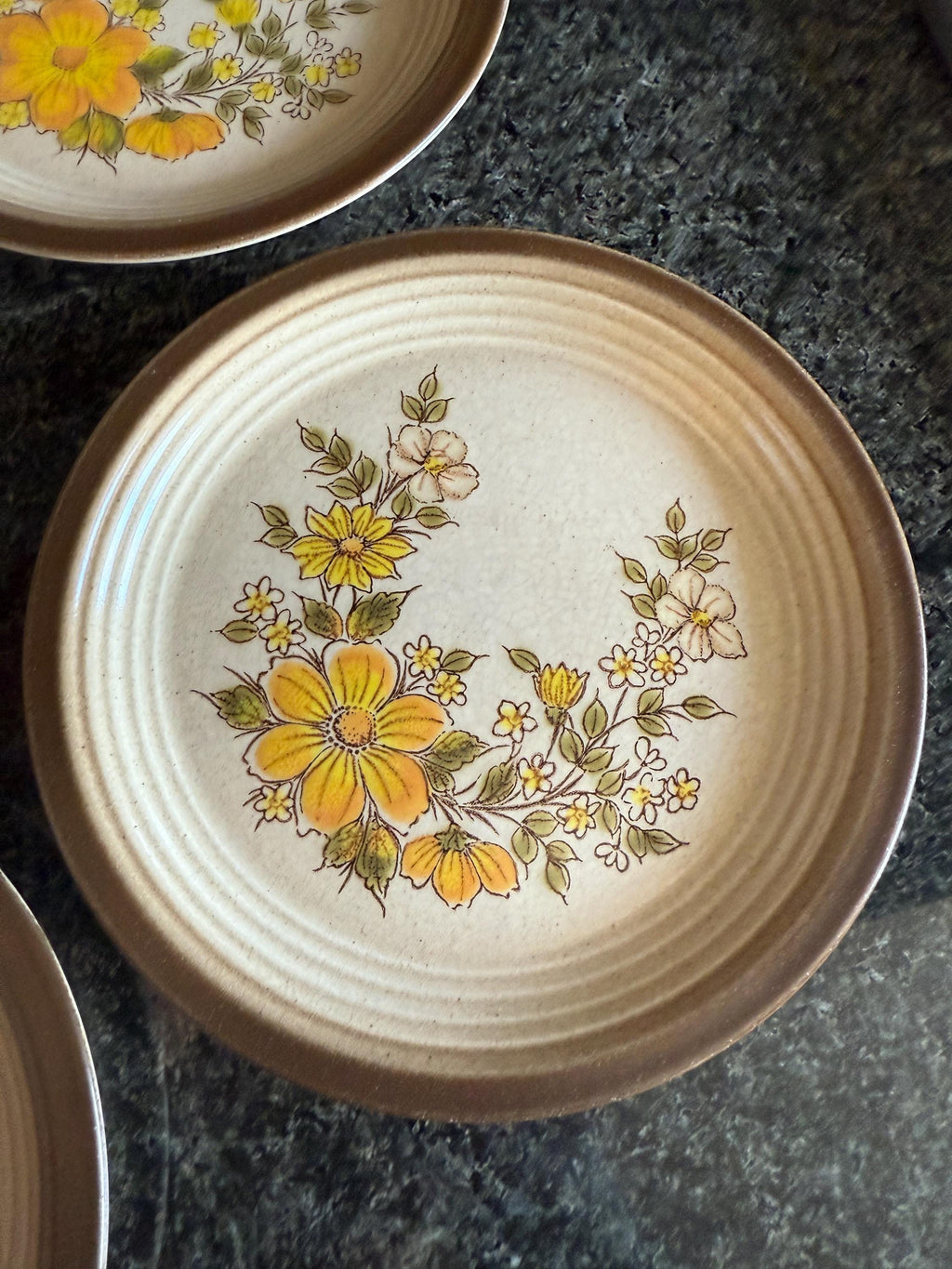 Vintage Wallace Heritage Stoneware Plates – Set of 5 Painted Desert “Summer Morn” – 7.5”